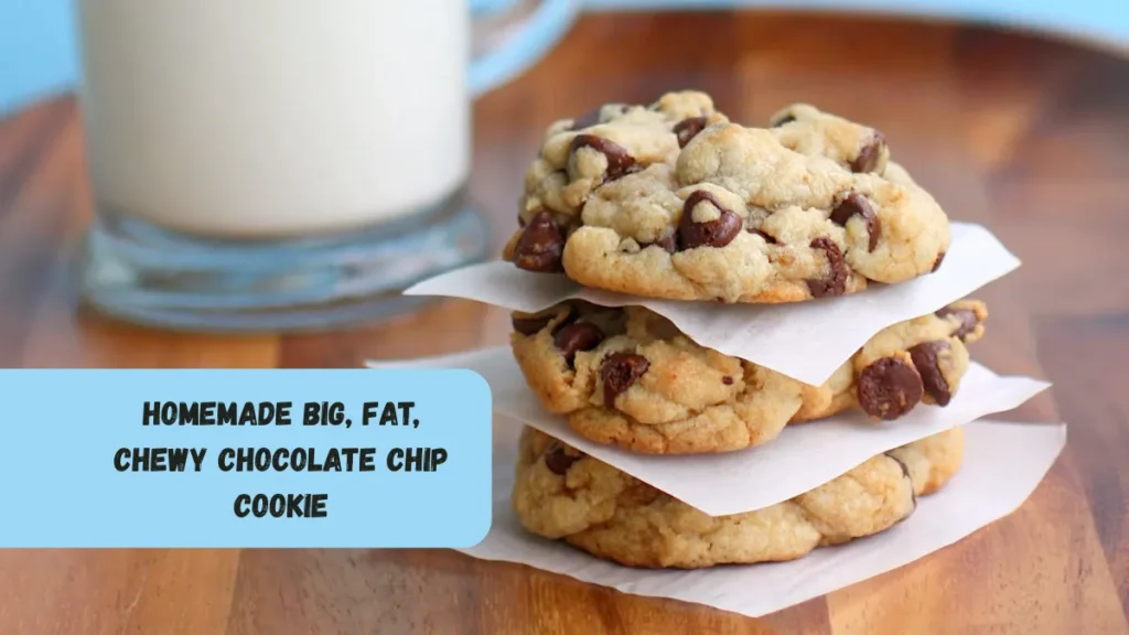Homemade Big, Fat, Chewy Chocolate Chip Cookie