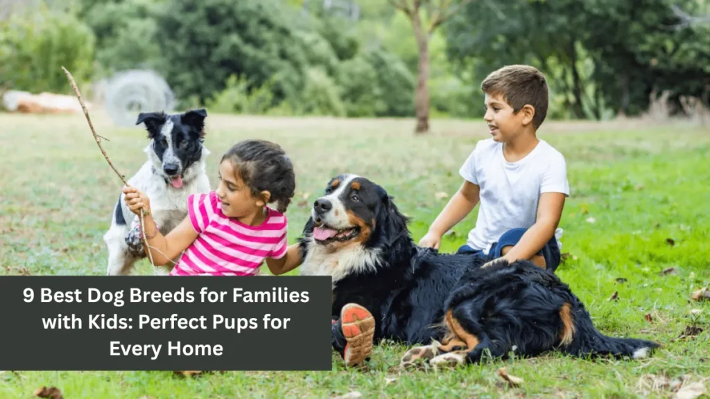 9 Best Dog Breeds for Families with Kids: Perfect Pups for Every Home