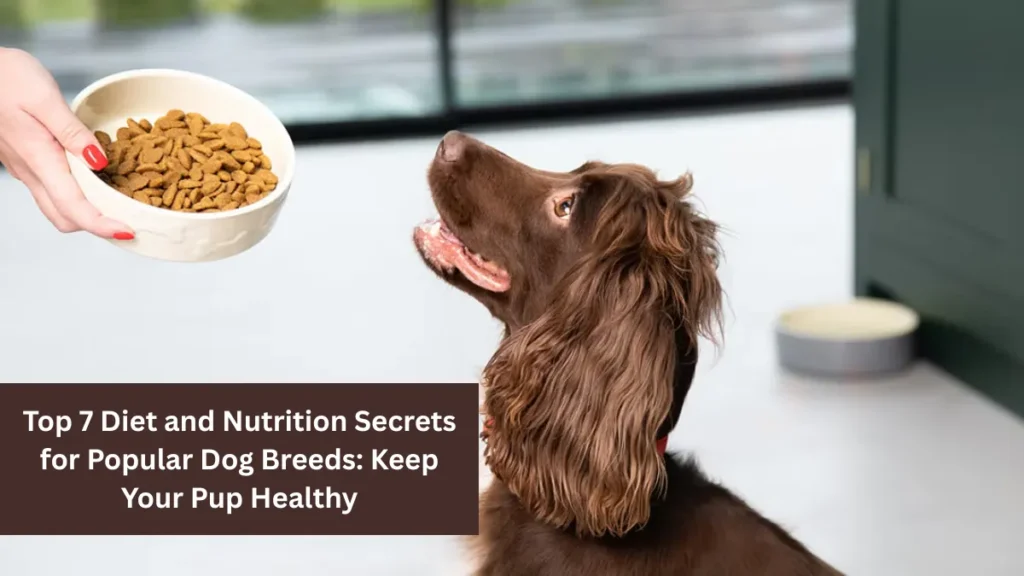 Top 7 Diet and Nutrition Secrets for Popular Dog Breeds: Keep Your Pup Healthy